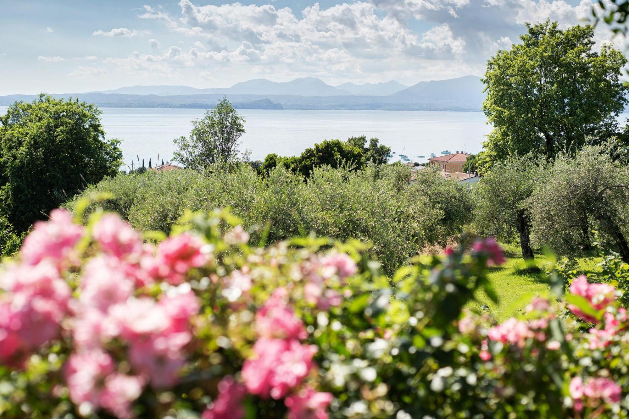 Villa Con Vista Mozzafiato Sul Lago Бардолино Экстерьер фото